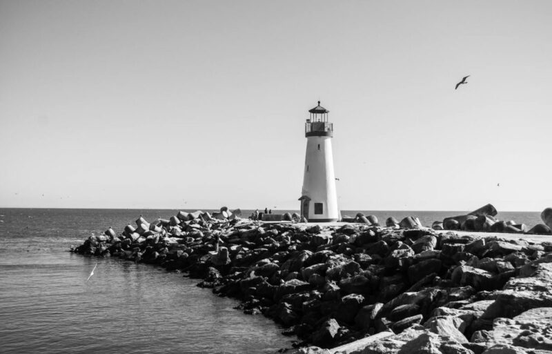 Grayscale Photography of Bird Flying Near Lighthouse by the Sea