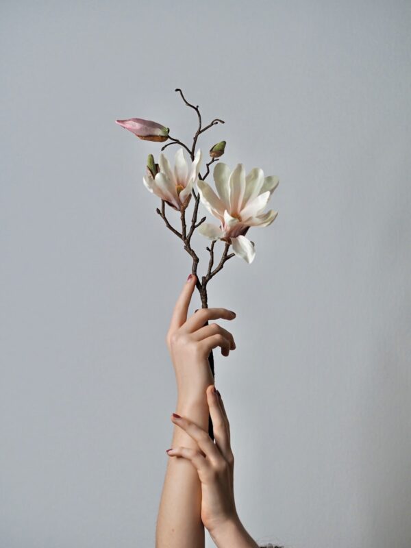person holding white and yellow flowers