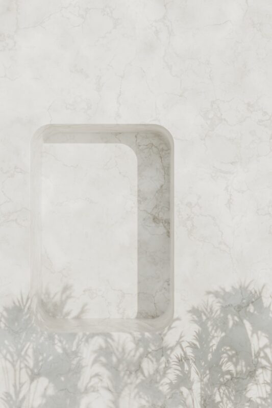 Photo by Pawel Czerwinski The shadow of a palm tree on a wall